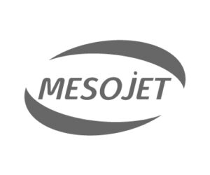 Mesojet Logo